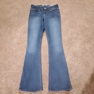 Daytrip Lynx Flare Jean's Long